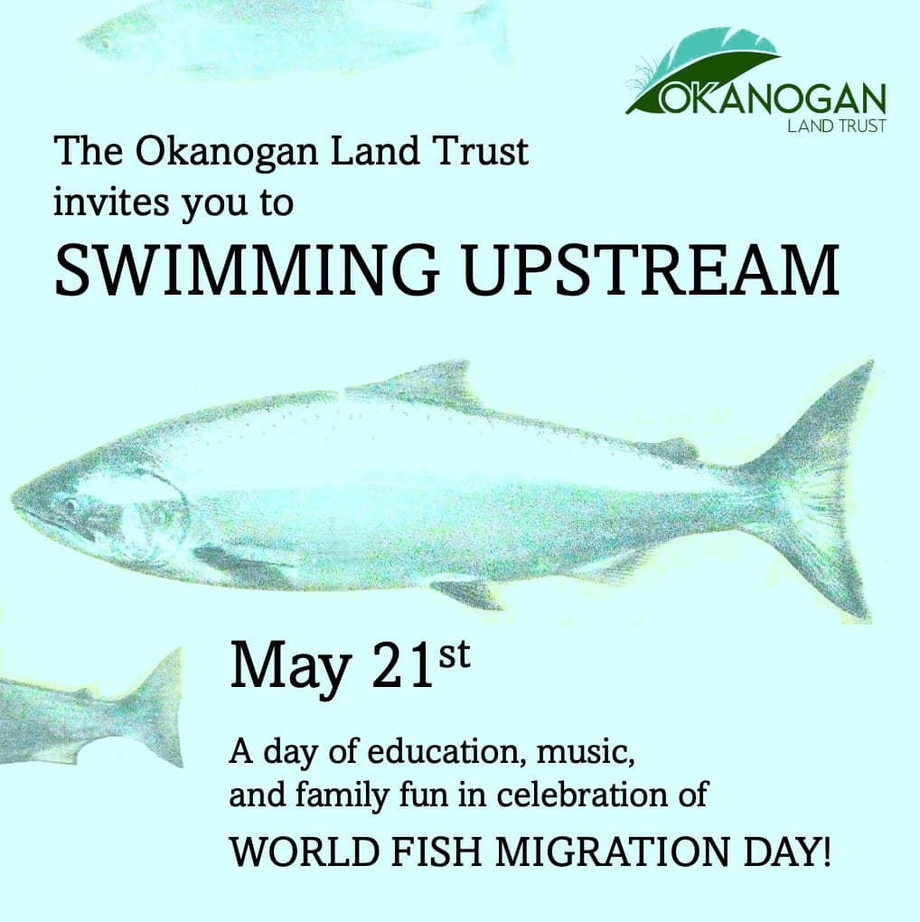 May 21st, OLT invites you to Swimming Upstream, a celebration of friends, family and fish!