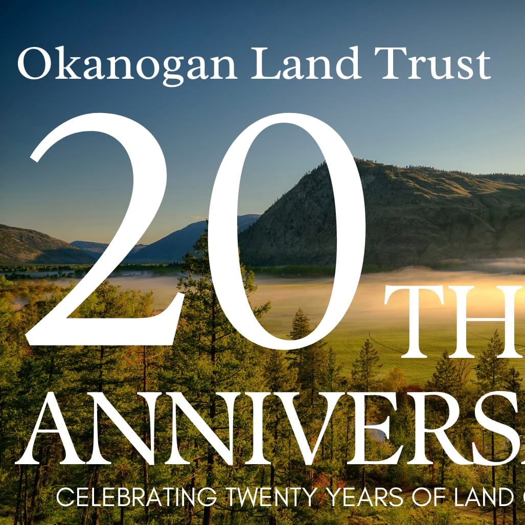 Can You Believe It? 2022 marked OLT’s 20th anniversary