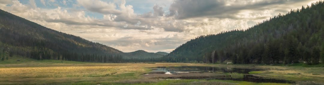 Bonaparte Meadows Campaign Fully Funded