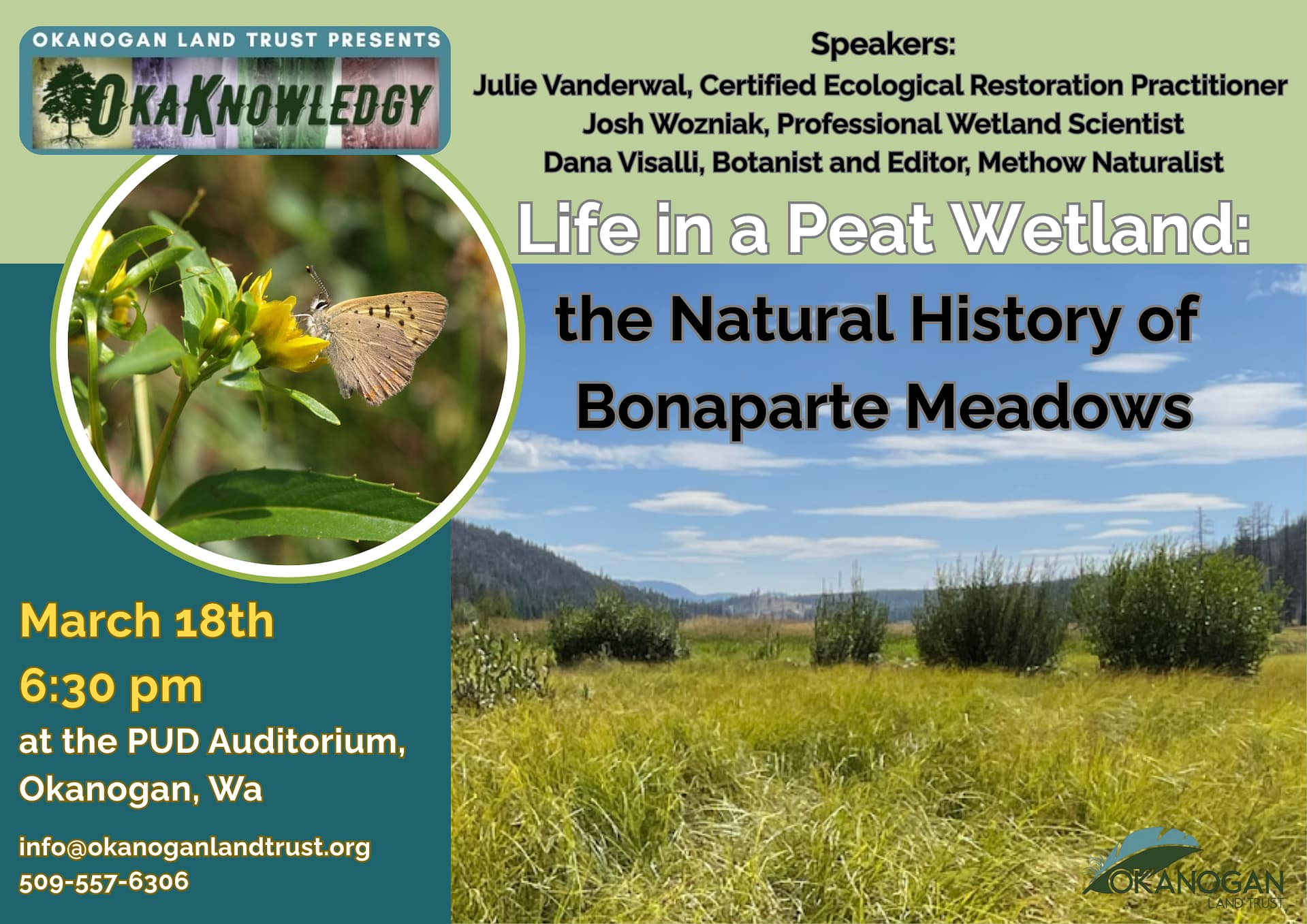 Life in a Peat WetlandJulie Vanderwal (1)