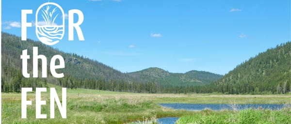 Whysave wetland.1